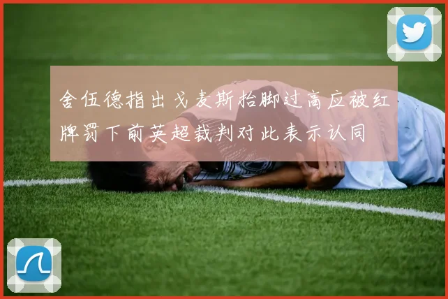 舍伍德指出戈麦斯抬脚过高应被红牌罚下前英超裁判对此表示认同